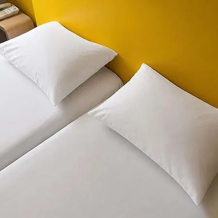 Ibis Budget Centre Clemenceau Ξενοδοχείο Ντιζόν